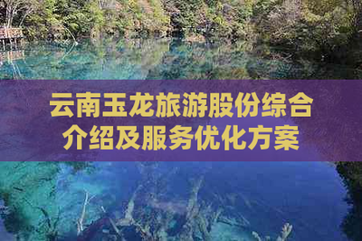 云南玉龍旅游股份 國內(nèi)旅游業(yè)務(wù)綜合解析與服務(wù)優(yōu)化藍(lán)圖